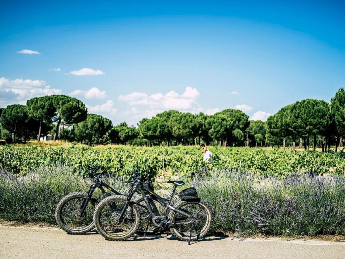 Abadia Retuerta Ledomaine Hotel Sardon De Duero Екстериор снимка