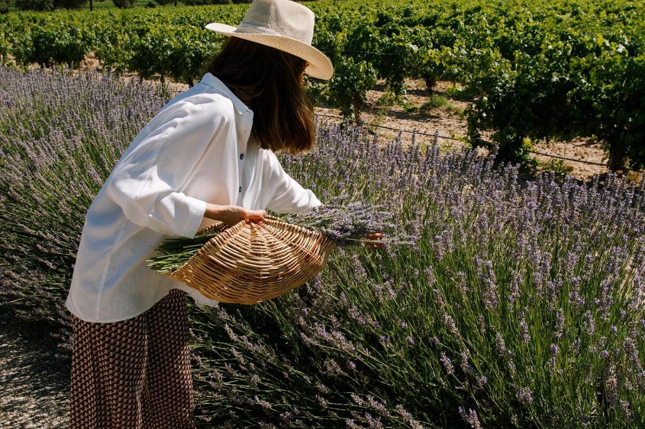 Abadia Retuerta Ledomaine Hotel Sardon De Duero Екстериор снимка
